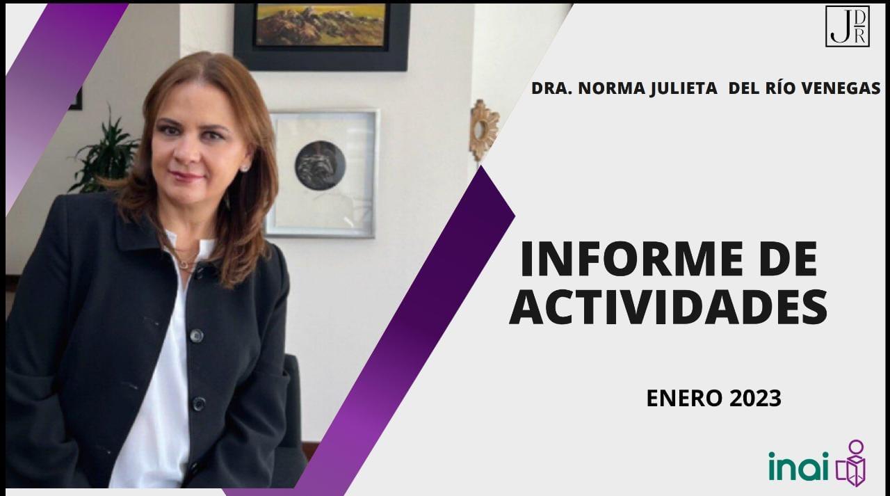 Informe de Actividades del mes de Enero 2023